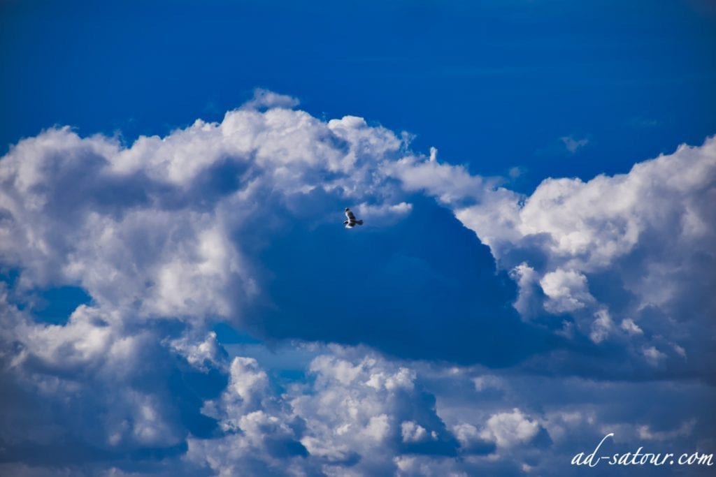 Île d'Arz: Sky, Ciel, سماء, あ お い